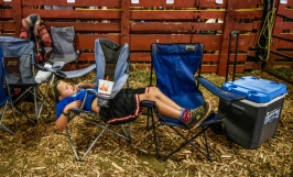 Seven-year-old Maddie Lehrkamp, of Highmore, takes a break resting on a pair of fold up chairs inside the beef complex during the first day of the South Dakota State Fair on Thursday in Huron. (Matt Gade/Republic)