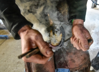 Chris Richards applies the hot horseshoe to Cactus causing smoke to rise on his hoof while tending to horses back in April at Cedar Ridge Equestrian Center north of Renner. Richards is a Farrier based out of Hurley serving clients in a 50 mile radius. (Matt Gade/Republic)
