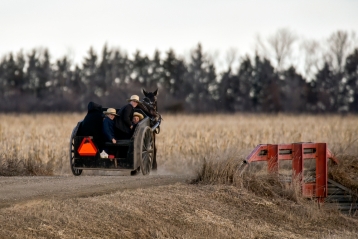 A group of Amish children race down 412th Avenue in a horse drawn carriage on Wednesday morning, a mile east of Tripp.