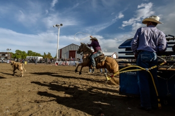 Ron Skovly, of Aurora, races out of the pen during the calf roping competition during the Wessington Springs Foothills Rodeo at the Jerauld County 4-H Grounds.
